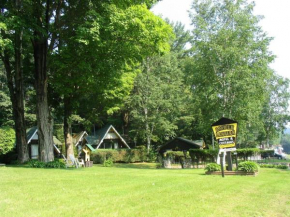 Отель Amber Lantern Efficiency Cottage  Лэйк Джордж